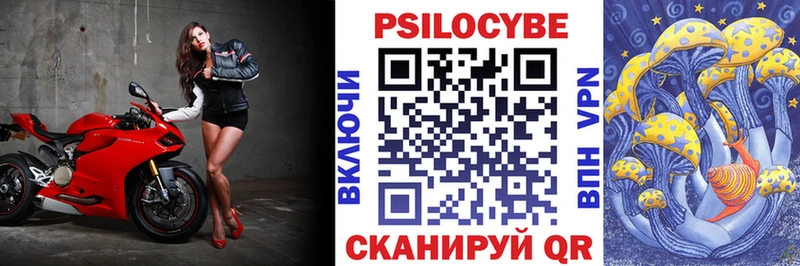 Купить  Горбатов  Псилоцибиновые грибы GOLDEN TEACHER 